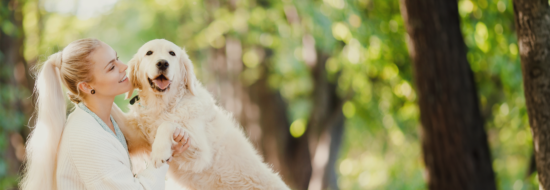 Certificate in Animal Assisted Therapy